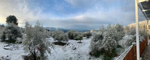 Finca Las Fuentezuelas