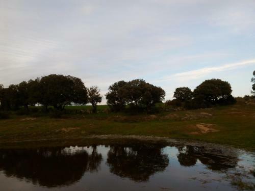 Hostal Pensi�n El Abuelo