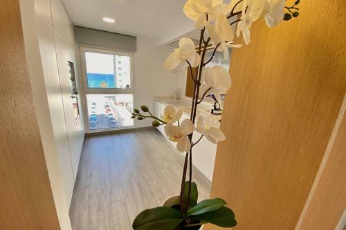 Luxury Apartment 3 Bed 2 Bath