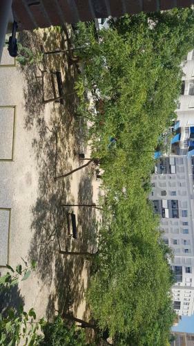 Apartamento En Campello A 250m de La Playa