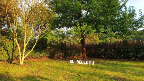 Agroturismo Casa Rural El Bellucu