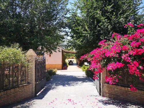 Villa Casa Los Jinetes