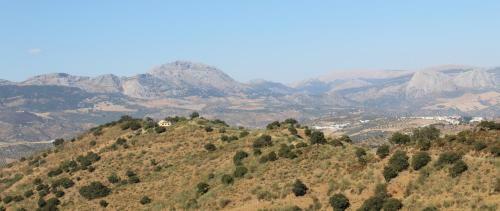 Mirador de Los Palomos