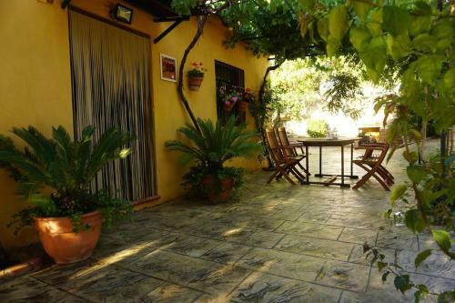 Molinillo. The Senses Experience. Wifi