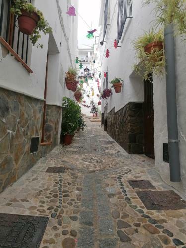 Apartamento Sierra de Las Nieves