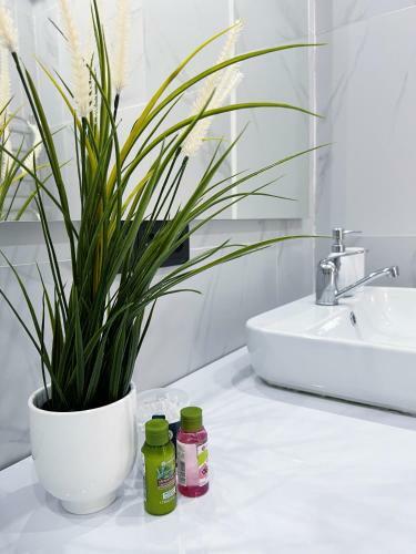 Apartamento ???????? ? ?? Gagarin Terrace