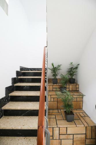 Apartaments Sol�