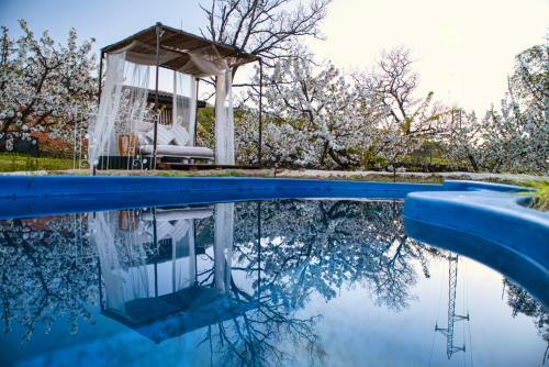 El Jardin de Las Delizias Adults Only
