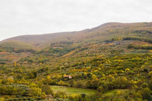 La Seguirilla Del Jerte