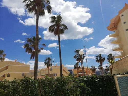 Apartamento Los Naranjos