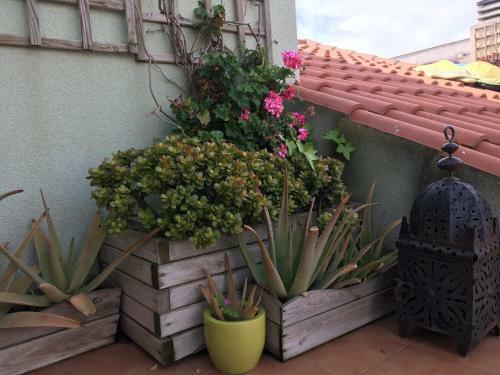Apartamento Atico San Crispin