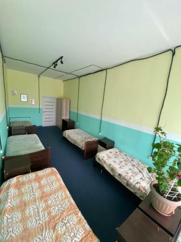 Albergue Mini?????????