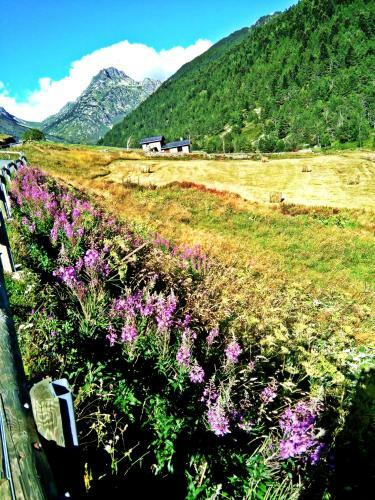 Bed & Breakfast Chalet "rec Dels Noguers"