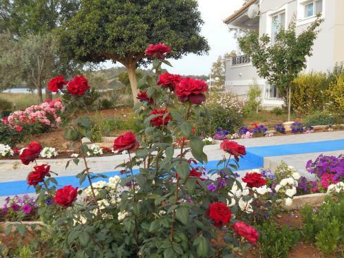 Hostal Blue Beach
