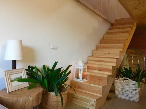 Apartamento La Holandesa
