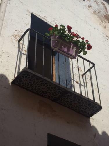Casa Rural La Antigua