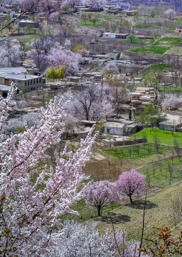 Haider Inn Hotel