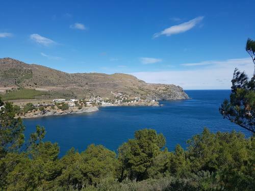 Colera Apartament Port