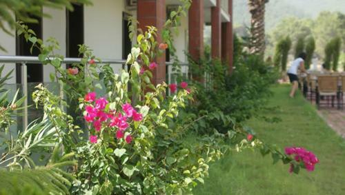 Palmira Hotel