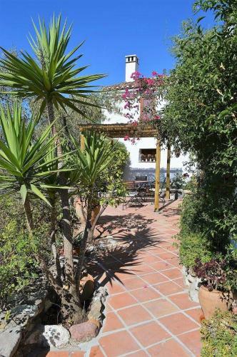 Hostal The Solano Experience