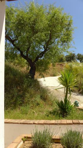 Bed & Breakfast Coraz�n Andaluz Guesthouse