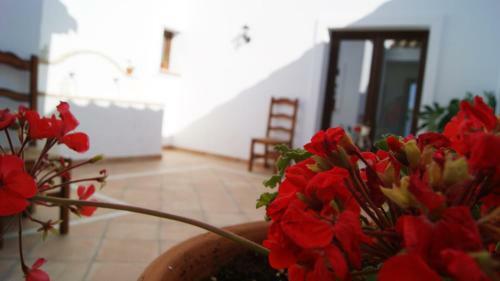 Casa Del Valle