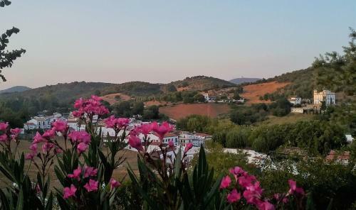 Hostal Casa Mesones. Rural Constantina-sevilla
