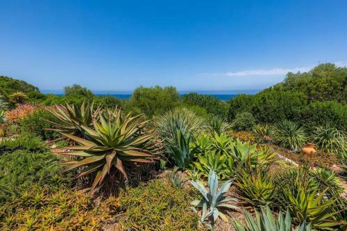 Villa Finca Ses Figueres