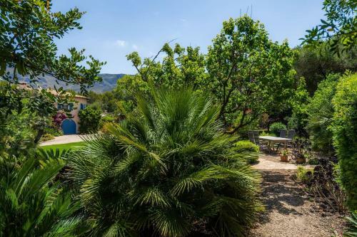 Villa Finca Ses Figueres