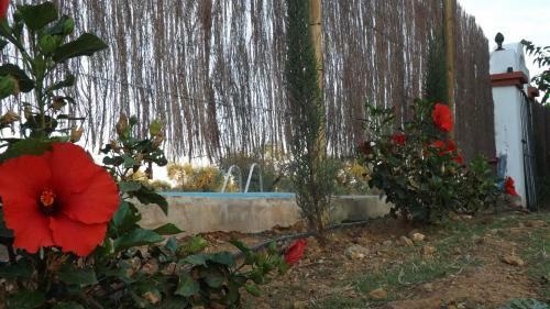 Apartamento Casa Rural Valdezaque