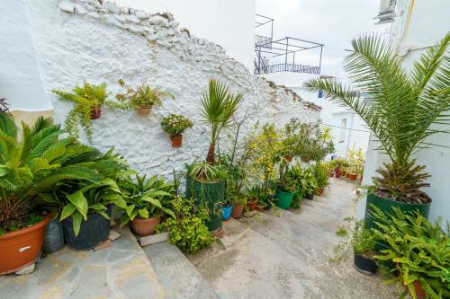 Casita Competa