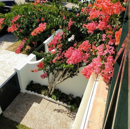 La Barrosa Duplex