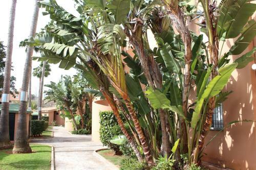 Apartamento Mijares