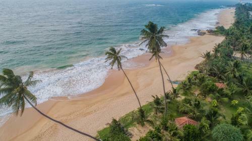 Green Parrot Beachvilla - Private Pool - 6 Pers