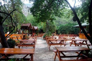 Turkmen Tree Houses