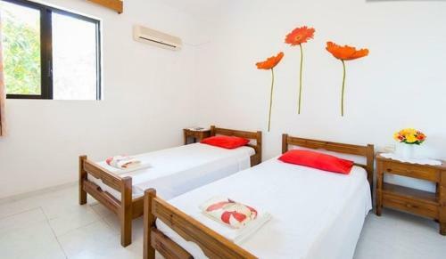 Evi Apartments And Studios