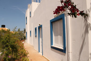 Alexis Apartments