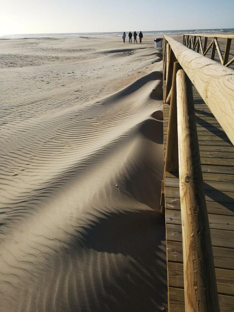 Hermoso Apartamento En Conil