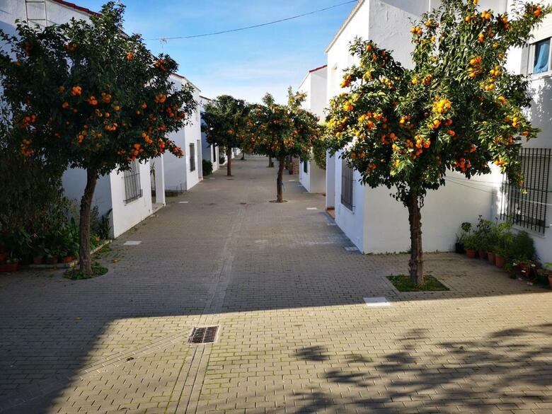 Hermoso Apartamento En Conil