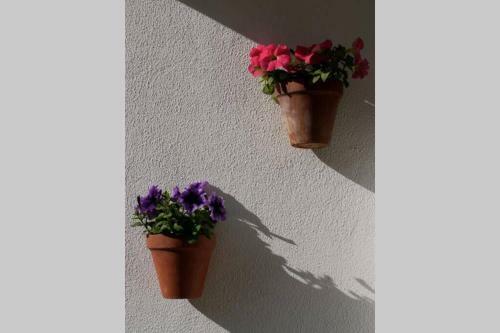 Apartment Las Tres Piedras