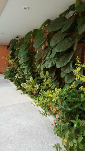 Hotel Juntima Place At Amphawa