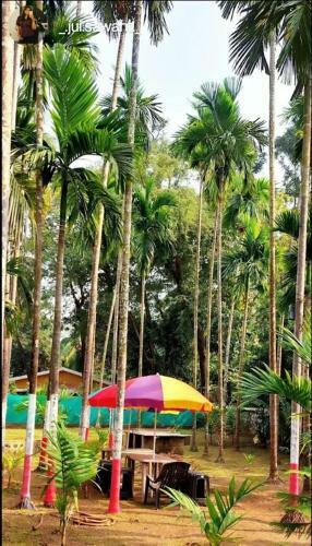 Greenary Holiday Home