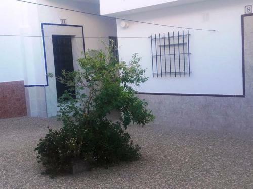 Apartamento Cerca Del Mar I