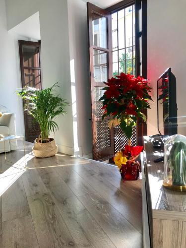 Apartamento San Fernando 27