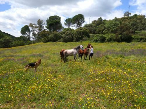 Agroturismo Las Solanas Del Pilar
