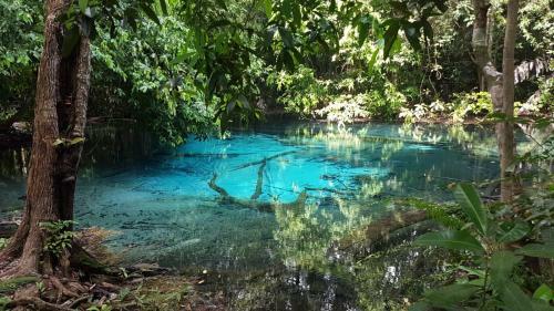 Agroturismo Meechok Organic Home