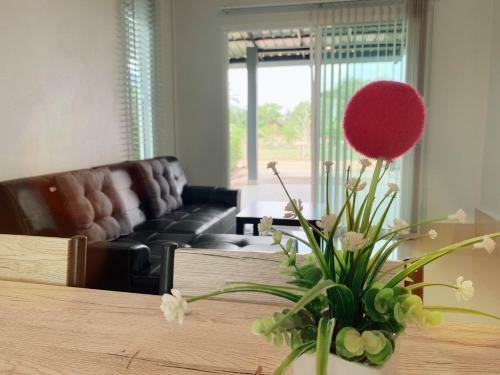 Little Bear Home Krabi