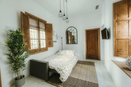 Luxury & New Apartment Corredera