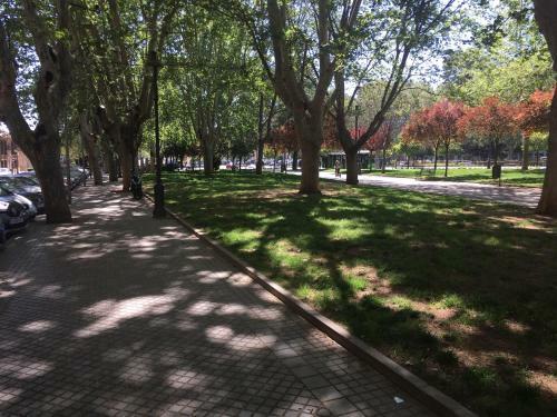 Apartamento Conde de Vallellano