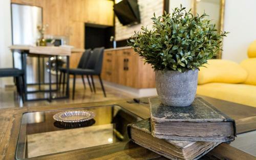 Apartamento Capitulares